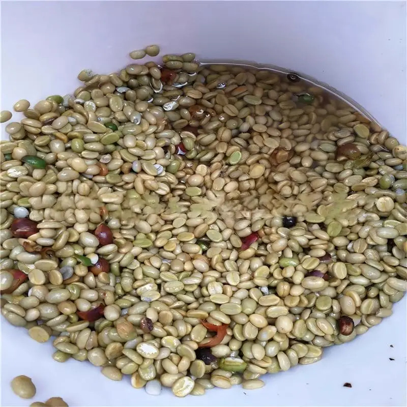 Specialty Parchment Coffee Roa - đánh giá và giá Coffee Equipment China